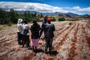 Growing Nations conservation agriculture field training